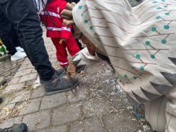 WhatsApp Image 2026-02-03 at 09.32.15 (8)